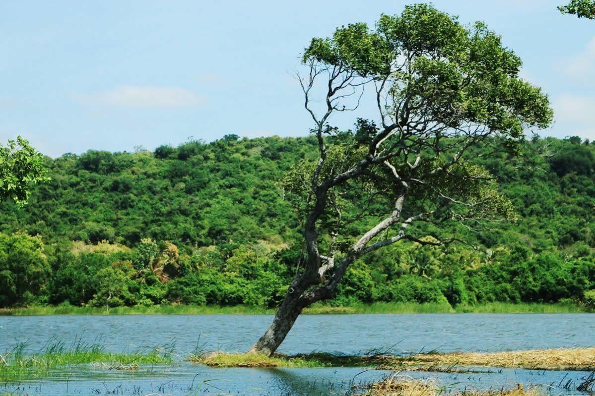 Athena Lake By Seedevi Dambulla Bagian luar foto
